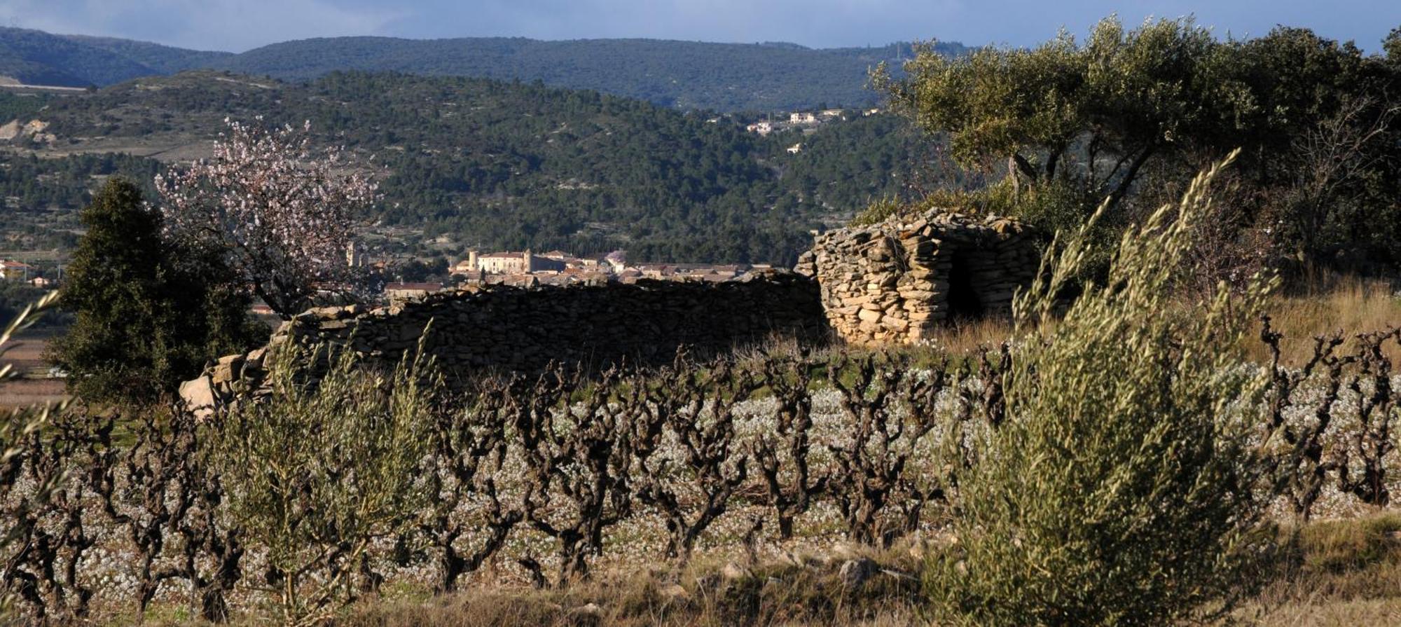 Cesseras Maison Vigneronne De Bonne Maman - Climatisee מראה חיצוני תמונה