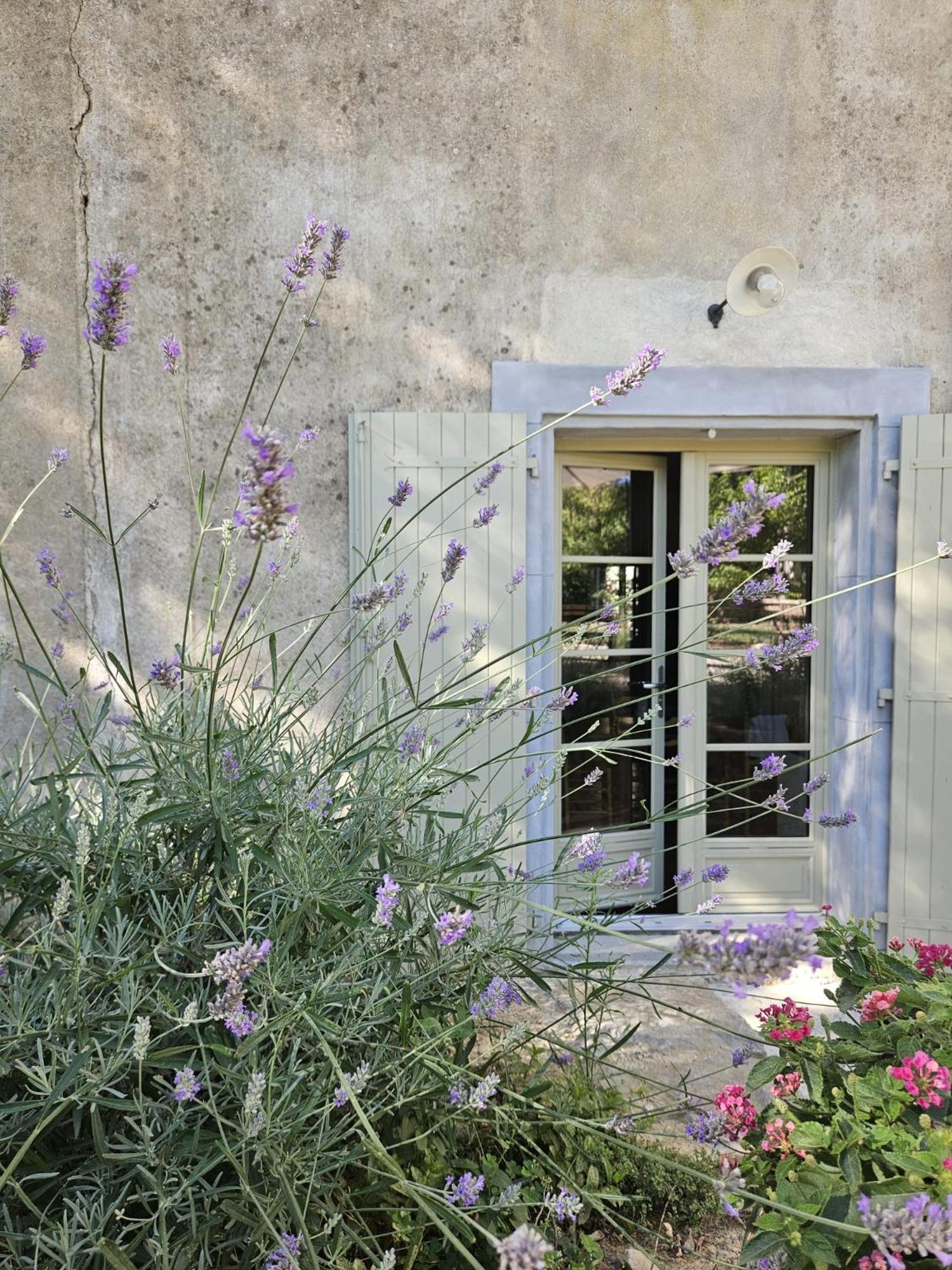 Cesseras Maison Vigneronne De Bonne Maman - Climatisee מראה חיצוני תמונה